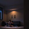 Spot encastrable Philips Hue White Ambiance Milliskin LED Blanc, 1 lumière