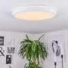 Plafonnier Seewen LED Blanc, 1 lumière, Télécommandes