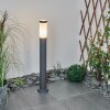 Borne lumineuse Sessa Anthracite, 1 lumière