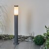 Borne lumineuse Sessa Anthracite, 1 lumière