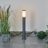 Borne lumineuse Sessa Anthracite, 1 lumière