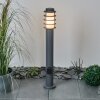 Borne lumineuse Caserta Anthracite, 1 lumière