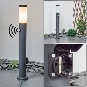 Borne lumineuse Sessa Anthracite, 1 lumière, Détecteur de mouvement