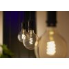 LED E27 7 Watt 2200 - 4500 Kelvin 550 Lumen Philips Hue White Ambiance