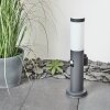 Borne lumineuse Sessa Anthracite, 1 lumière, Détecteur de mouvement