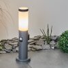 Borne lumineuse Sessa Anthracite, 1 lumière, Détecteur de mouvement