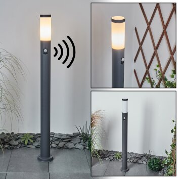 Borne lumineuse Sessa Anthracite, 1 lumière, Détecteur de mouvement