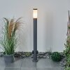 Borne lumineuse Sessa Anthracite, 1 lumière