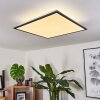 Plafonnier Salmi LED Noir, Blanc, 2 lumières