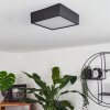 Plafonnier Netstal LED Anthracite, 1 lumière