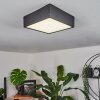 Plafonnier Netstal LED Anthracite, 1 lumière