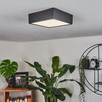 Plafonnier Netstal LED Anthracite, 1 lumière