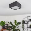 Plafonnier Netstal LED Anthracite, 1 lumière