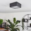 Plafonnier Netstal LED Anthracite, 1 lumière