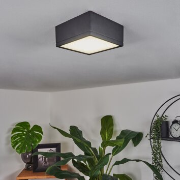 Plafonnier Netstal LED Anthracite, 1 lumière