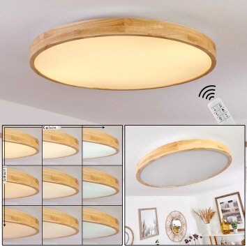 Plafonnier Bagaha LED Brun, Couleur bois, 1 lumière, Télécommandes