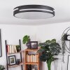 Plafonnier Seewen LED Noir, Blanc, 1 lumière, Télécommandes