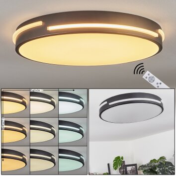 Plafonnier Seewen LED Noir, Blanc, 1 lumière, Télécommandes