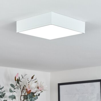 Plafonnier Netstal LED Blanc, 1 lumière