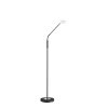 Lampadaire Fischer-Honsel Dent LED Noir, 1 lumière