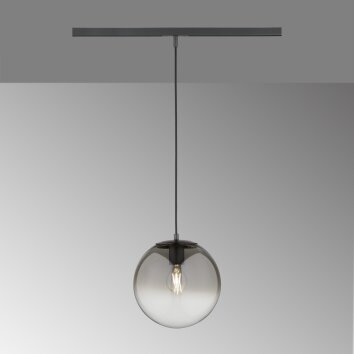 Suspension SCHÖNER-WOHNEN-Kollektion HV-Track Lina Stina Noir, 1 lumière