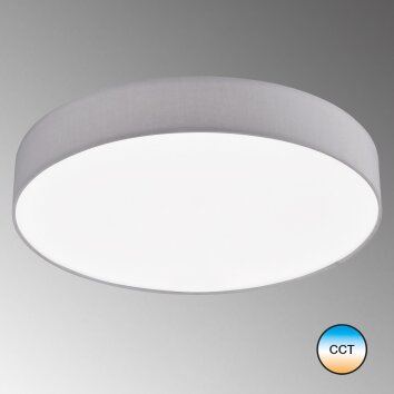 Plafonnier SCHÖNER-WOHNEN-Kollektion Pina LED Blanc, 1 lumière, Télécommandes