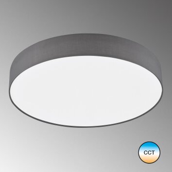 Plafonnier SCHÖNER-WOHNEN-Kollektion Pina LED Blanc, 1 lumière, Télécommandes