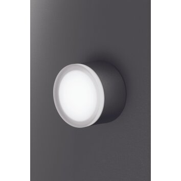 plafonnier extérieur LCD Grasbrunn LED Noir, 1 lumière