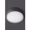 plafonnier extérieur LCD Grasbrunn LED Noir, 1 lumière