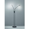 Lampadaire Fischer & Honsel Dent LED Noir, 2 lumières