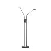 Lampadaire Fischer & Honsel Dent LED Noir, 2 lumières