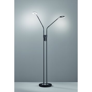 Lampadaire Fischer & Honsel Dent LED Noir, 2 lumières