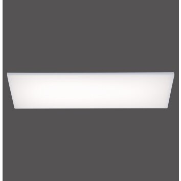 Plafonnier Paul Neuhaus FRAMELESS LED Blanc, 1 lumière, Télécommandes, Changeur de couleurs