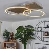 Plafonnier Blandford LED Écru, Nickel mat, Argenté, 2 lumières, Télécommandes