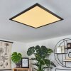 Plafonnier Wilderswil LED Blanc, 1 lumière