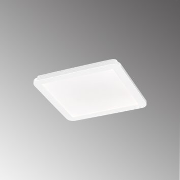 Plafonnier Fischer & Honsel Gotland LED Crème, Blanc, 1 lumière