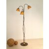 Lampadaire Holländer SNAIL ONE Brun doré, 3 lumières