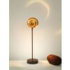 Lampe de table Holländer PICCOLA NAUTILO Brun doré, 1 lumière