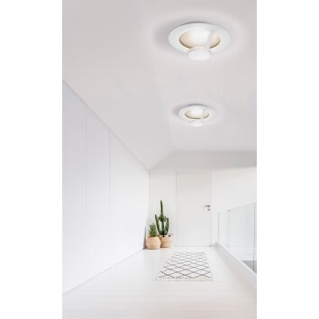 Applique murale Grossmann FLAT LED Brun, Or, Blanc, 1 lumière