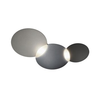 Plafonnier Grossmann CIRC LED Gris, Argenté, 1 lumière