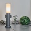 Borne lumineuse Caserta Anthracite, 1 lumière