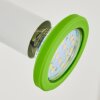 Applique murale Cabri LED Chrome, Vert, Blanc, 1 lumière