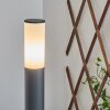 Borne lumineuse Caserta Anthracite, 1 lumière