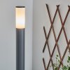 Borne lumineuse Caserta Anthracite, 1 lumière