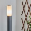 Borne lumineuse Caserta Anthracite, 1 lumière