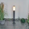 Borne lumineuse Caserta Anthracite, 1 lumière