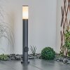 Borne lumineuse Caserta Anthracite, 1 lumière