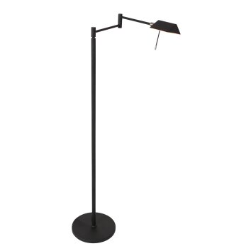 Lampadaire Steinhauer Retina LED Noir, 1 lumière