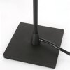 Lampe de table Steinhauer Ancilla Noir, 1 lumière