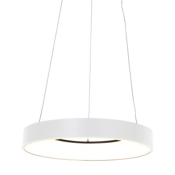 Suspension Steinhauer Ringlede Blanc, 1 lumière